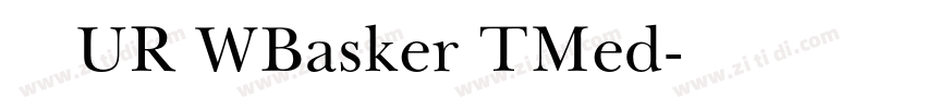 汉仪UR WBasker TMed字体转换